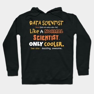 Data scientist definition / data gift idea / data analyst Hoodie